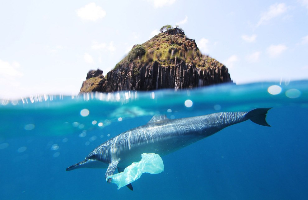 Halálra mérgezi Földünk vizeit a műanyagszemét