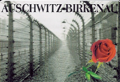 Amit ész föl nem foghat, abba belehal a lélek – Magyar sorsok Auschwitz-Birkenauban