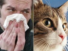 Allergiás a lakosság harmada – megoldás egy magyar találmány?