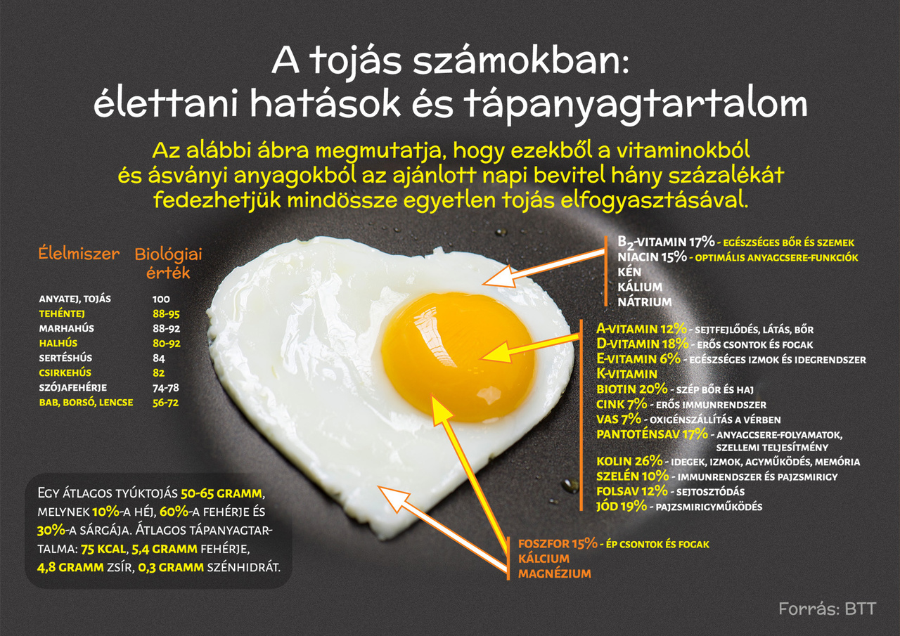Okosító tojás reggelire, tízóraira