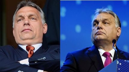 Weber se hal, se hús: Orbán könnyen megeheti reggelire